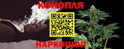 крисы Новокубанск