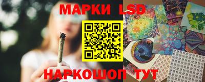 крисы Новокубанск