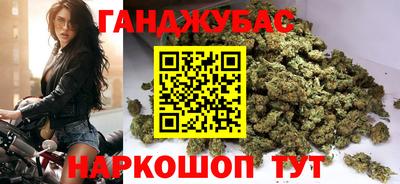 крисы Новокубанск